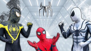 TEAM SPIDER-MAN vs BAD GUY TEAM || Venom Misunderstand White Hero - Funny Movie ( Live Action )