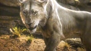lion king