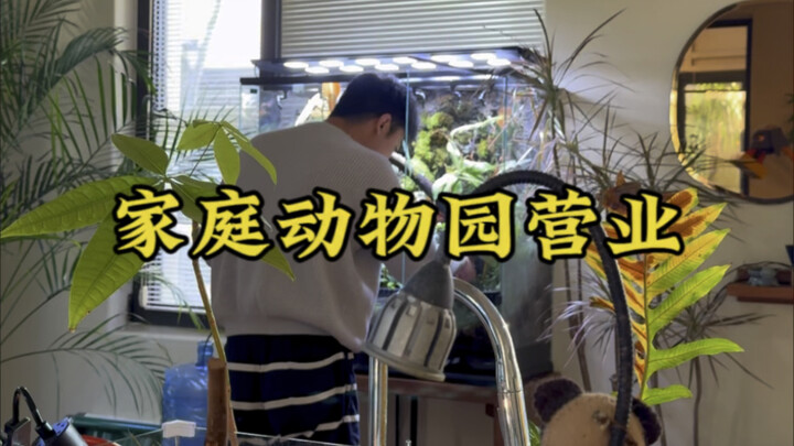 المنزل أصبح أكثر حيوية الآن هاها