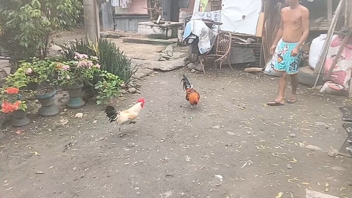 Tamang exercise muna ng broadcock mga idol.