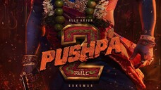 Pushpa-2.The.Rule.2024.1080p.Hindi-ORG.HDRip.2.0.x264