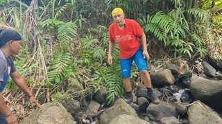 King Cobra vs Retic,... - Heru Gundul Jejak si Gundul