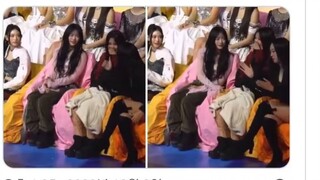 [Bài đăng hot trên trang web Hàn Quốc] Haerin, chú mèo hay lo lắng về mặt xã hội, thực sự rất nhút n