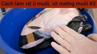 Cách làm vịt ủ muối , vịt nướng muối #2