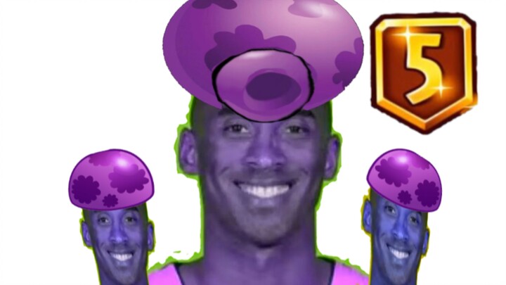 A Compilation of Expert Five-Stage Big Mushroom Techniques—If You Don’t Laugh After Watching, You Mi