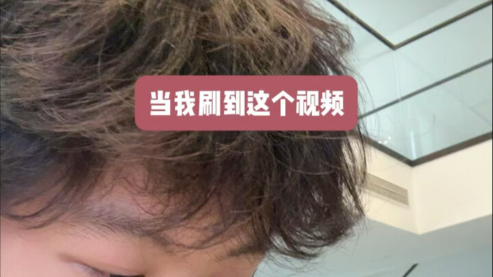 Tao cứ loay hoay mãi mà hóa ra tao là chó à?