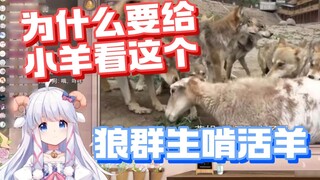 【咩栗】I thought it was a chase between a wolf and a sheep! How come it is a horror movie?