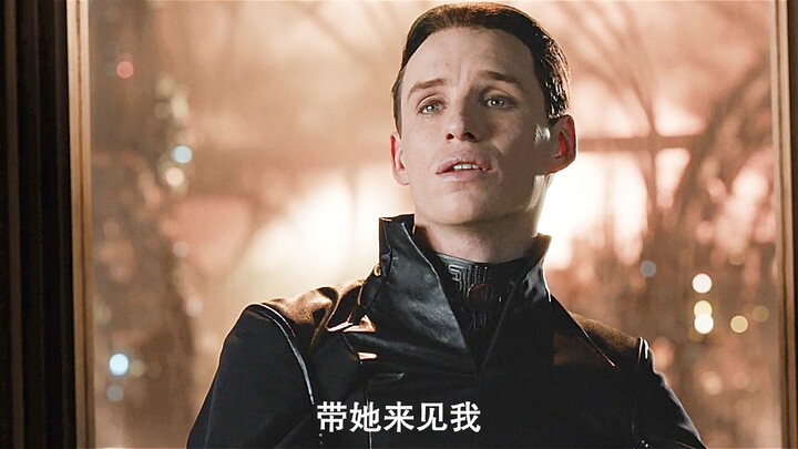 我看到一只会飞的鳄鱼