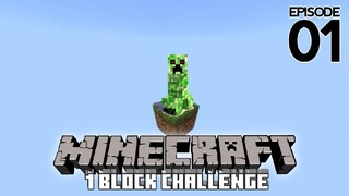 Minecraft Tapi Cuman 1 Block!!