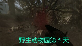 野生动物园第 5 天