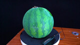 Carving a watermelon into a wonderful craft!