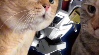 Hadiah Natal apa yang Anda butuhkan? Beri tahu kami pendapat Anda