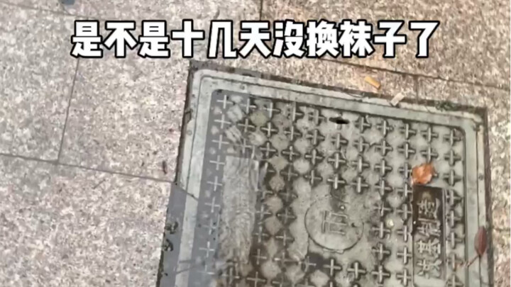 Today my colleague told me I haven't changed my socks for over ten days—how could that be?