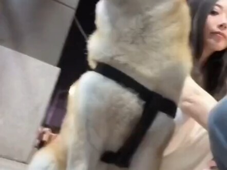 ร่างศักดิ์สิทธิ์ครูอนุบาลตั้งแต่เกิด