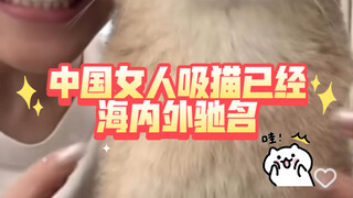 【تعليقات من الإنترنت الخارجي】 اشتهرت النساء الصينيات بعشقهن للقطط داخل وخارج البلاد