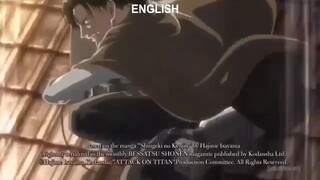 Levi in Japanese, English and Filipino