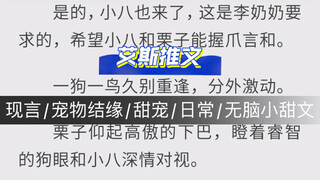 现言：《姝姝有礼》宠物结缘/甜宠/日常/无脑小甜文