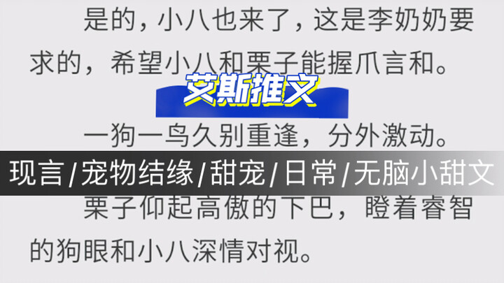 现言：《姝姝有礼》宠物结缘/甜宠/日常/无脑小甜文