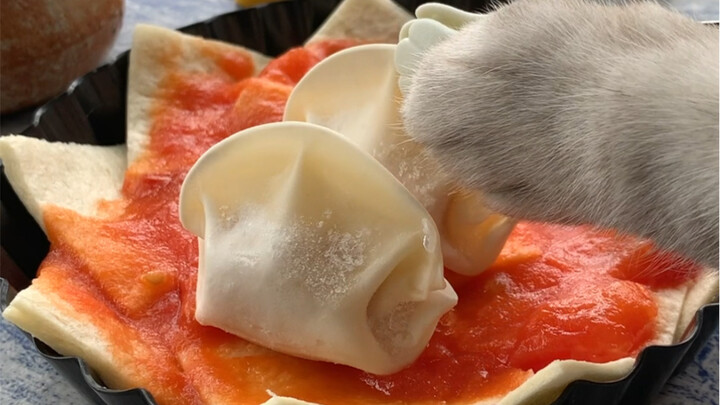 Mèo dùng sủi cảo làm pizza, lông mèo “linh hồn” nhất định không thể thiếu?