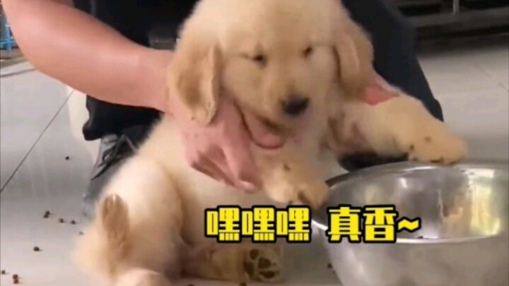 ลูกน้อยปัดกวาดได้สะอาดจริงๆ เลย