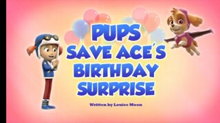 Paw patrol season 5 episode 26 original