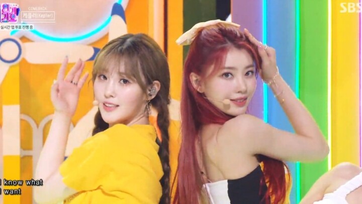 【kep1er】ผลการจัดอันดับไลฟ์สด 21 ชั่วโมงในรายการ Inkigayo: มิซากิ ฮิคารุ นำโด่ง!