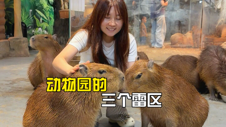 I’m amazed—I actually got totally hooked by an indoor zoo.