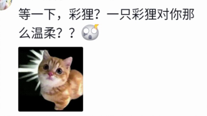 คุณหมายถึงว่า…?! คุณฝึกสัตว์ป่าอย่างอีเห็นหลากสีจนเชื่องแล้วงั้นเหรอ?! สุดยอดนักสู้หัวแข็งผู้เลอโฉมใ