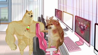 录 个 视 频