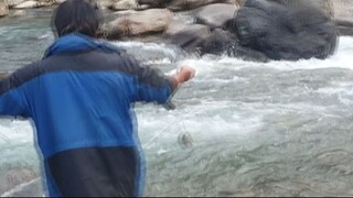 net fishing in Nepal | himalayan trout fishing | asala fishing |