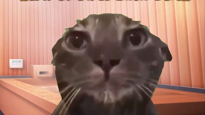 【Cat meme】About my childhood without pants