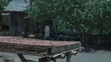 Kajiman: Iblis Terkejam penagih janji PART 33