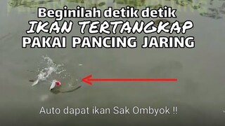 Net fishing - Mancing kitang pakai pancing jaring dapat banyak || pancing jaring - spring bomb net