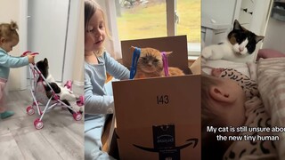 القطة: جدّي الصغير، بالطبع سأدلّله