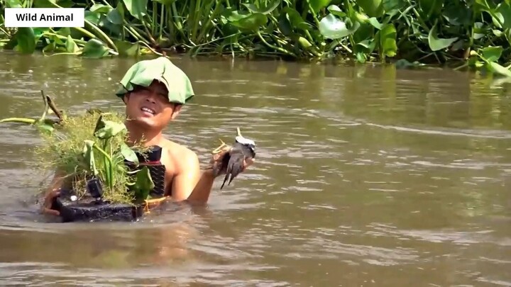 Lội Sông Bắn Cò _ Stork Hunting _ 19