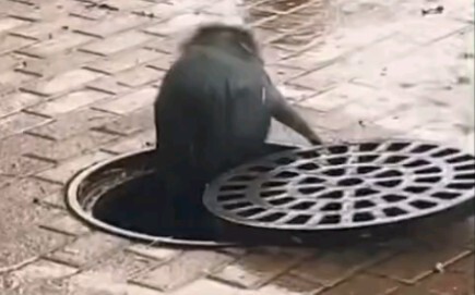 Chẳng ai quan tâm đến vụ rò rỉ nước nhiễm xạ cho đến khi chứng kiến cảnh tượng này.