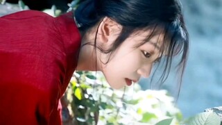 山有木兮木有枝 心悦君兮君不知
