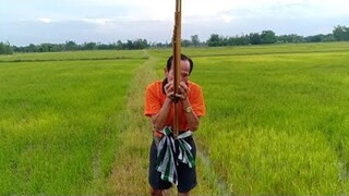 เสียงแคนม่วนๆกับบรรยากาศกลางทุ่งนาหลังฝนตกใหม่ๆ