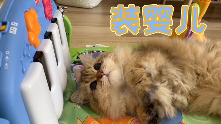 Mèo con chơi đồ chơi của em bé siêu hào hứng, lời mẹ nói chẳng hề vào tai chút nào. Mochi: “Tớ cũng 