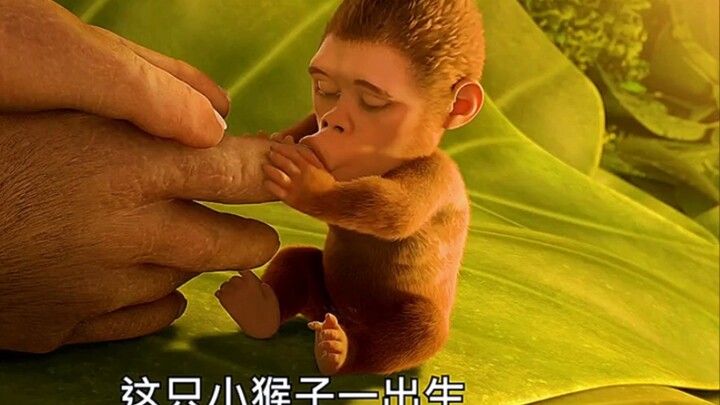 Animated Film “Crazy Evolution”