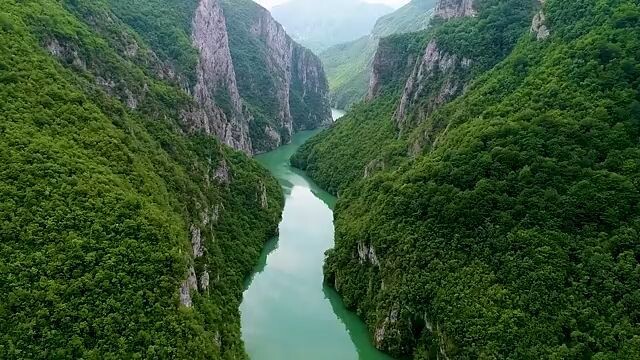 Nature Video