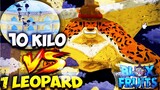 1 Leopard vs 10 Kilo Users! | Blox Fruits PvP | Insane!