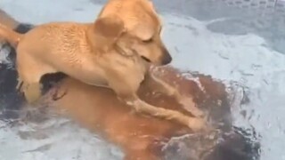 Kenangan gambar "Kolam Batu Kecil"!