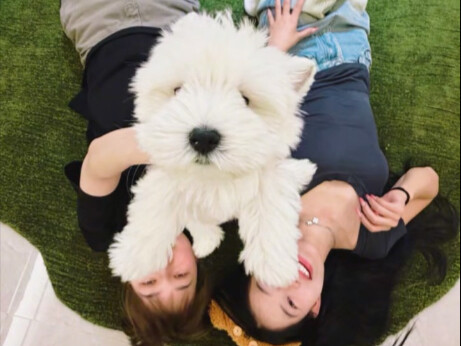 Sahabat mau, sahabat dapat!