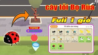 (Play Together) Cây Lỗi BỌ RÙA và Cách Full Từ Điển Côn Trùng trong 1 Giờ