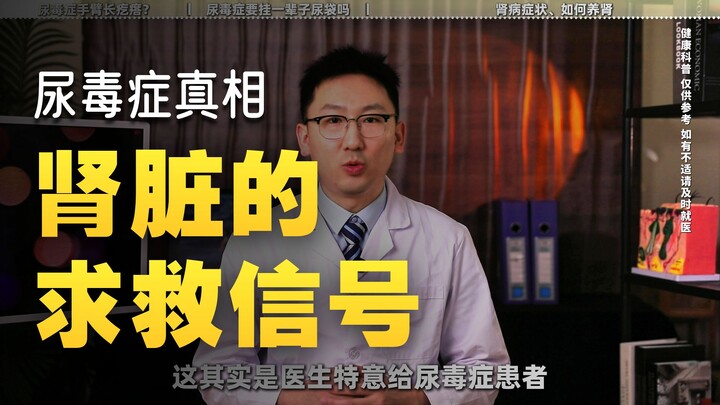 Mengapa Gagal Ginjal Semakin Muda? Cara Melindungi Ginjal Anda