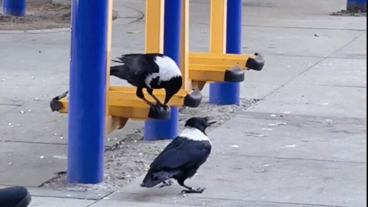 Happiness is actually very simple.