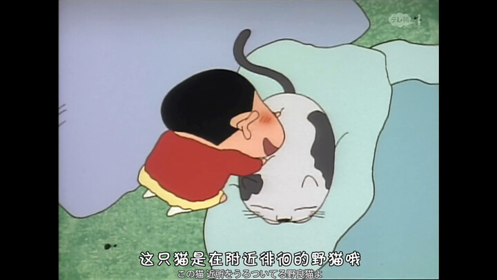 [Crayon Shin-chan] Does Hiroshi Not Like Kittens?