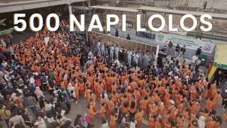 500 Napi Lolos