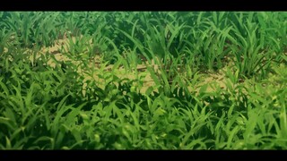 tate no yuusha no nariaraghi